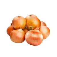 Onion Yemen