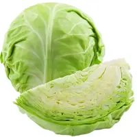 Cabbage White Oman