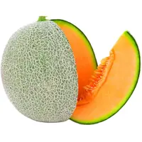 Rock Melon Oman