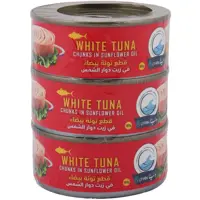 Ocean White Canned Tuna Chunks In Sunflower Oil 160gx3 Pieces